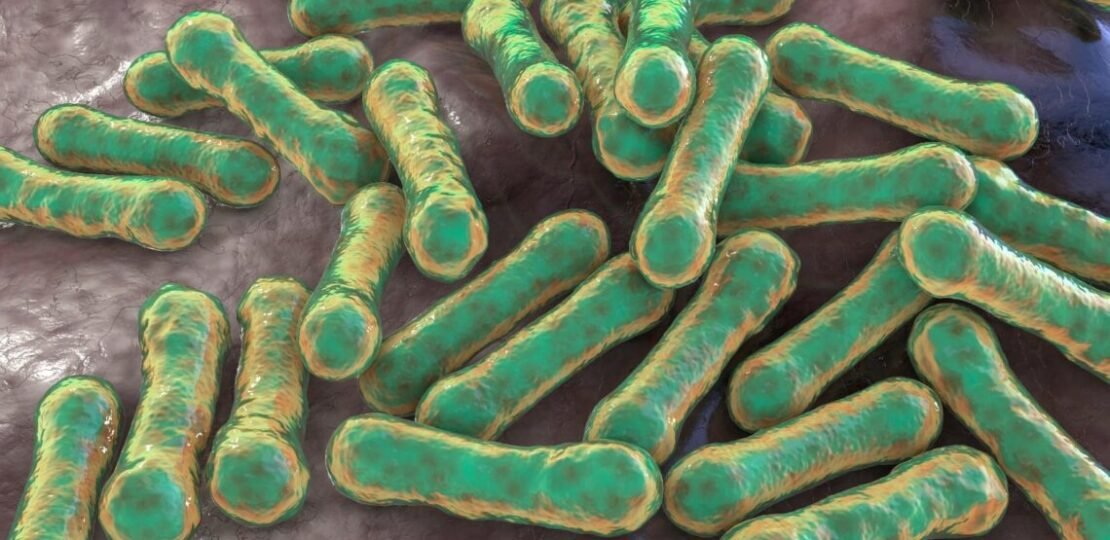 La-derniere-epidemie-de-diphterie-d39Europe-a-explique-1140×815